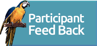 WebButtons Individual Bird2blue